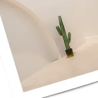 Affiche cactus 2