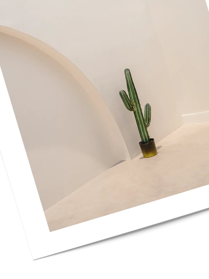 Détail de l’affiche : le cactus à deux bras dans son pot doré, au pied d’une grande arche beige