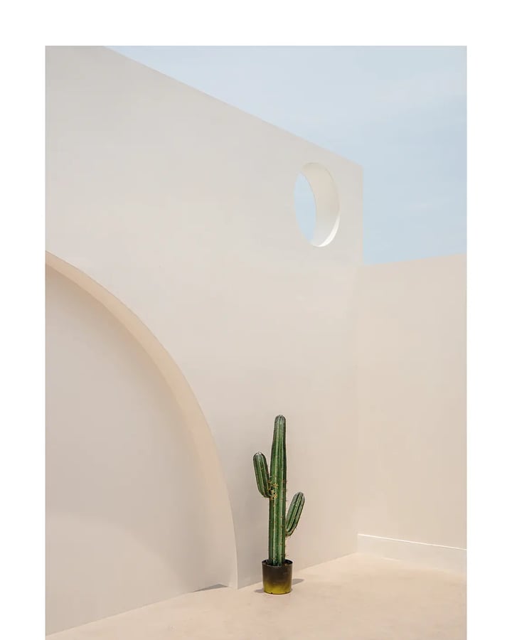 L’affiche cactus : le cactus en pot devant les murs beiges, une arche et une ouverture ronde sur le ciel