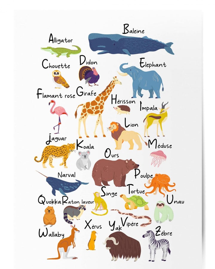 L’affiche abécédaire des animaux : vingt-six animaux illustrés en couleurs, de l’alligator au zèbre, sur fond blanc