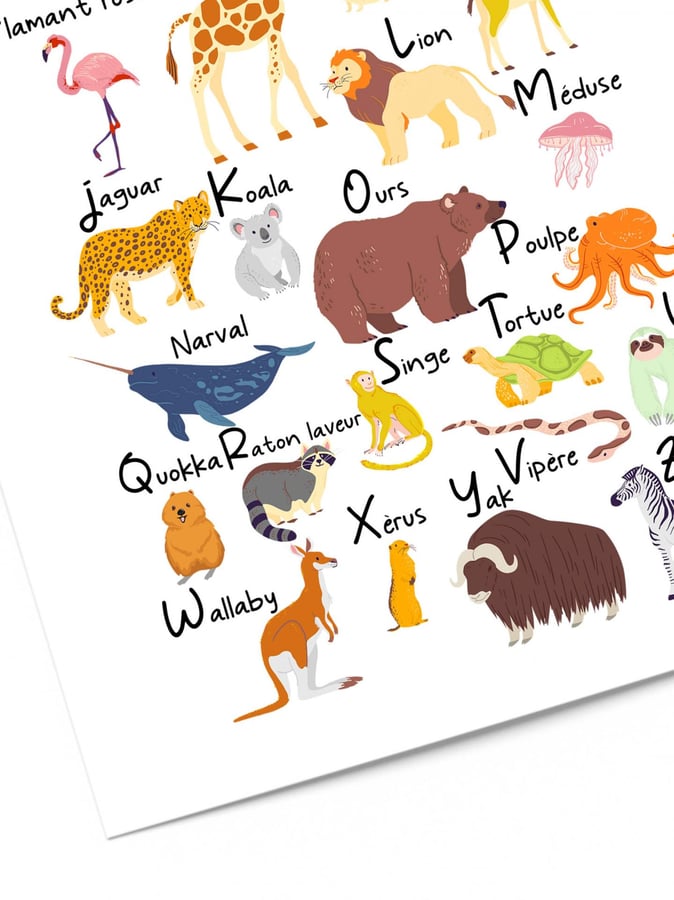 Détail de l’affiche : le jaguar, le koala, l’ours, le narval, le poulpe, le quokka, le raton laveur et le yak, avec leur nom