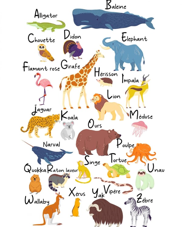 Affiche pour apprendre l’alphabet, un abécédaire d’animaux illustrés, de l’alligator au zèbre