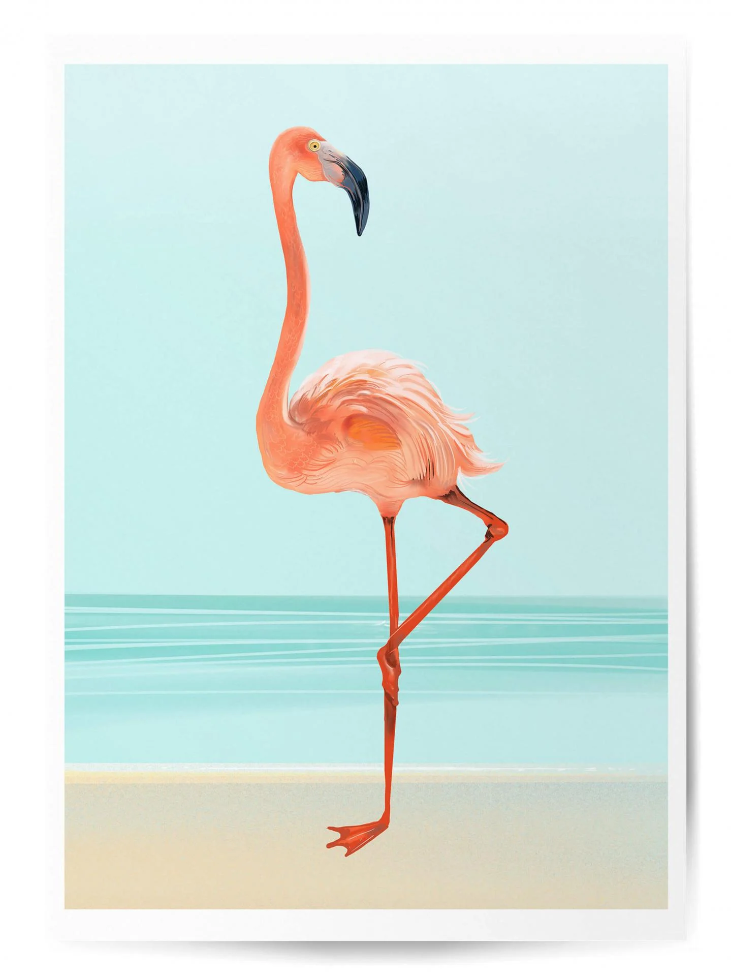 Affiche flamant rose vintage - Poster mural animaux