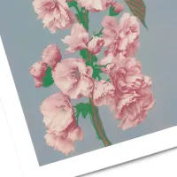 Affiche fleur de cerisier ogawa kazumasa 2