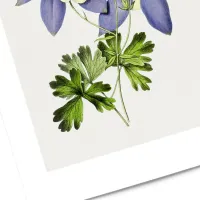 Affiche fleurs violettes no1 2