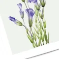 Affiche fleurs violettes no2