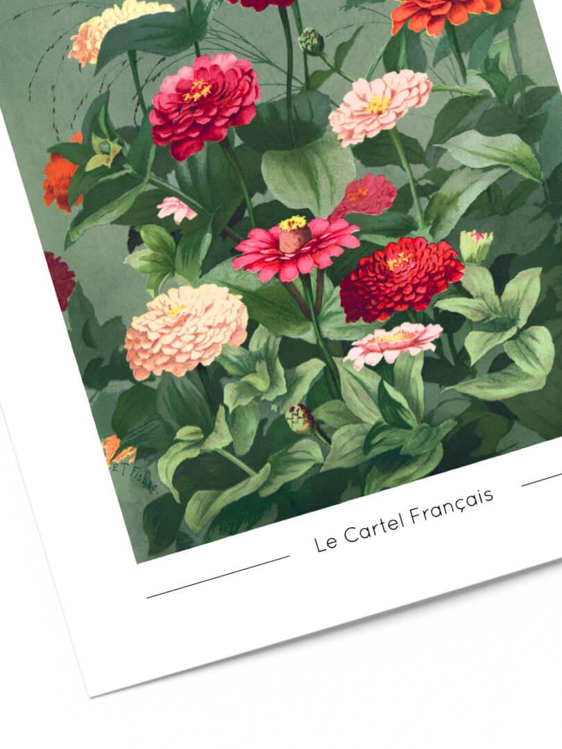 Affiche flower collections 10