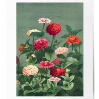 Affiche flower collections 11