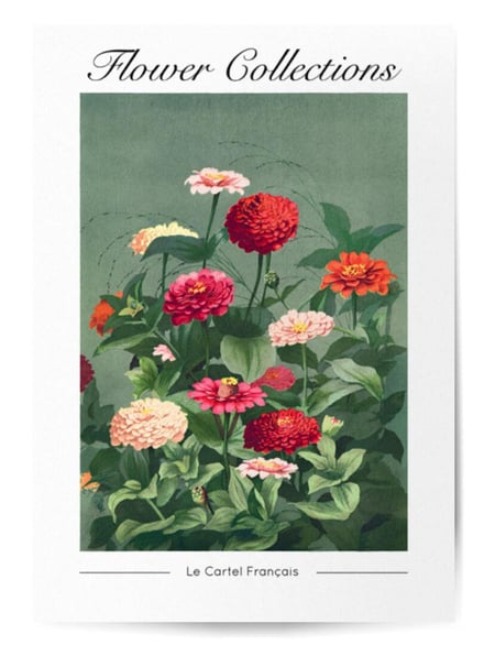 Affiche Flower Collections No.4