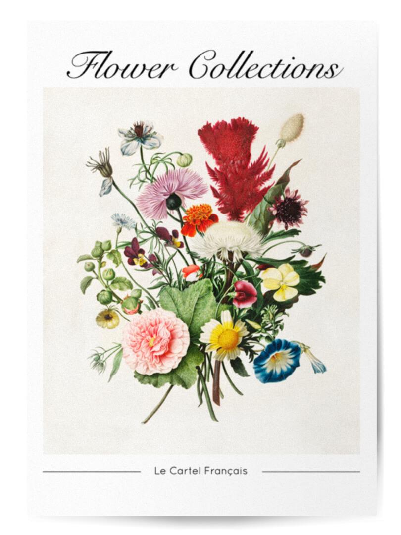 Affiche flower collections 12