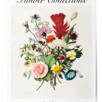 Affiche flower collections 12