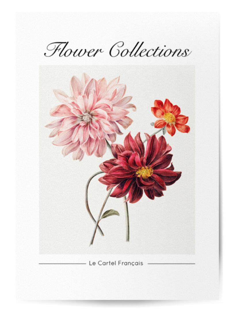 Affiche flower collections 14