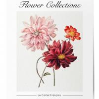 Affiche flower collections 14