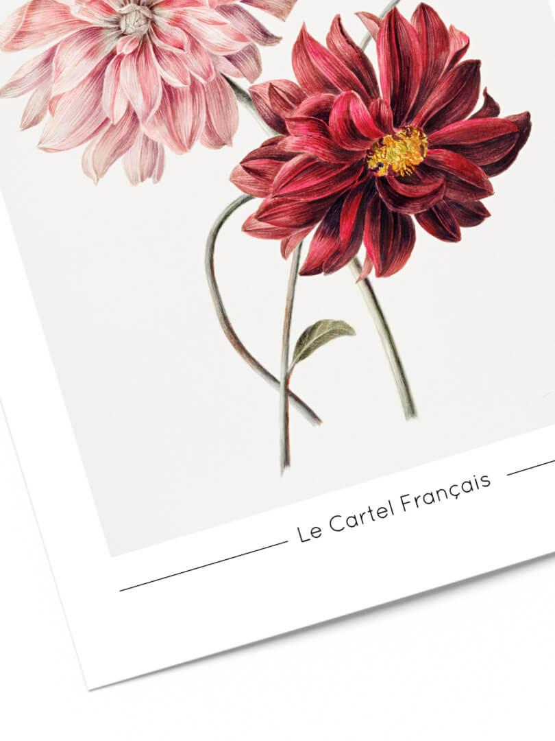 Affiche flower collections 15