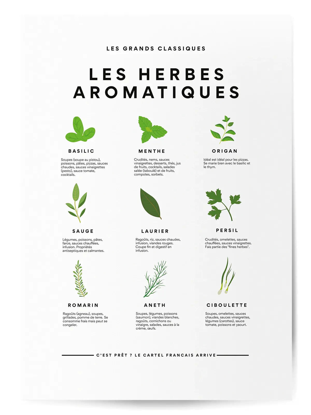 Affiche herbes aromatiques 4