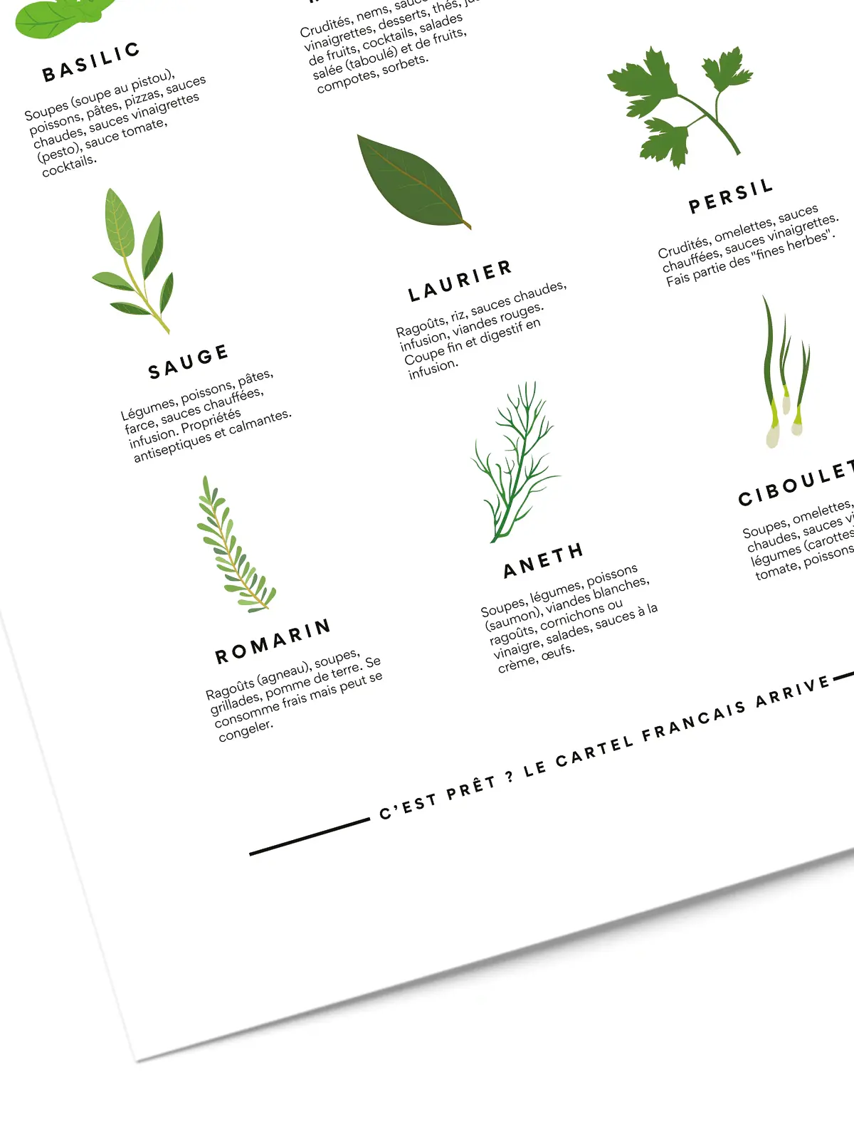 Affiche herbes aromatiques 5