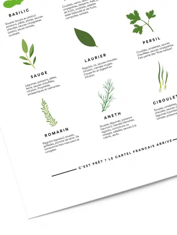 Affiche herbes aromatiques