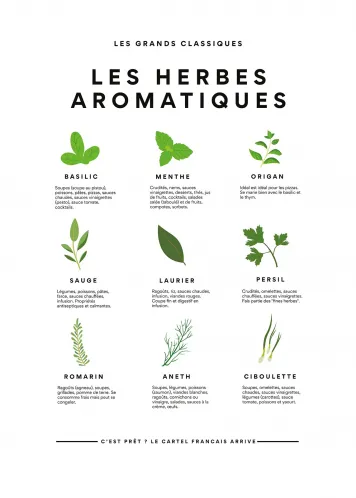 Affiche herbes aromatiques