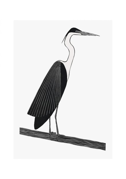 Affiche Héron noir et blanc