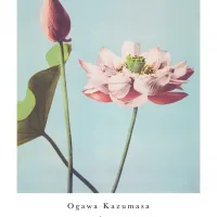Affiche lotus ogawa kuzamasa