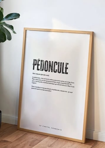 Affiche pedoncule cadre