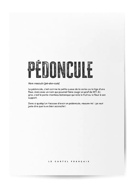 Affiche Définition Pédoncule