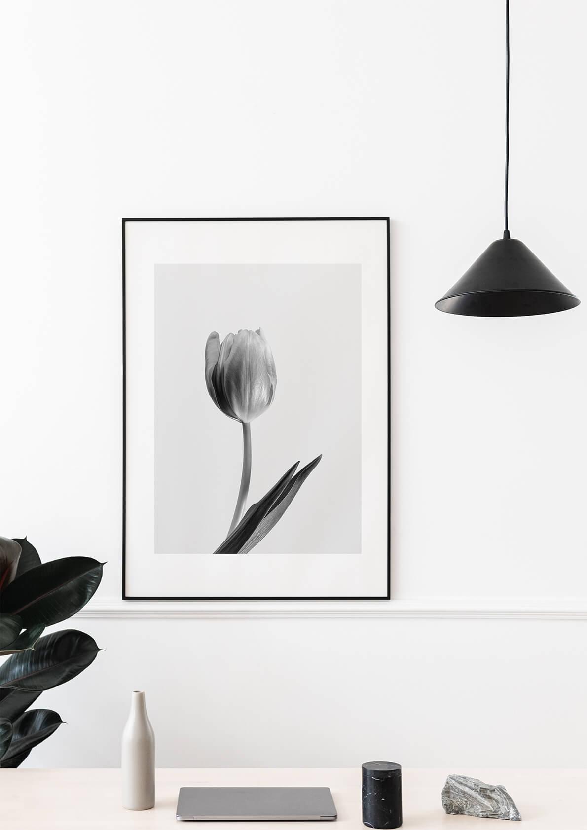Affiche tulipe noir et blanc 3