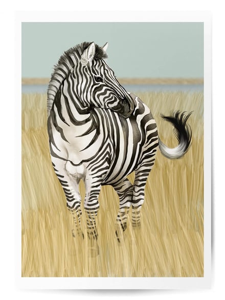Affiche Zèbre dans la savane