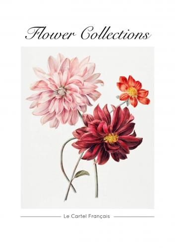 Flower collection 2