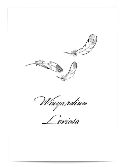 Affiche Wingardium Leviosa